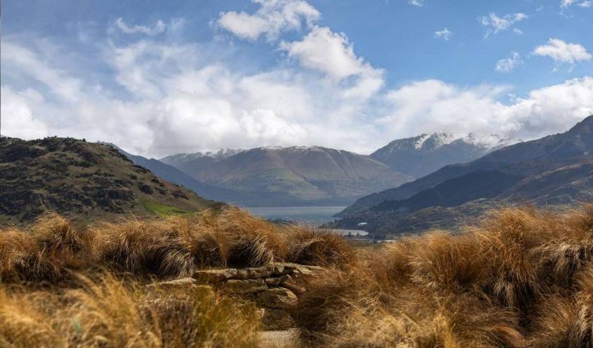 Villa 6246 in New Zealand Main Image